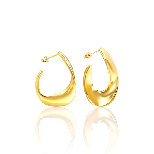 Sleek Coop Earrings